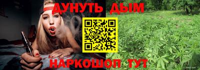 мдпв Кингисепп