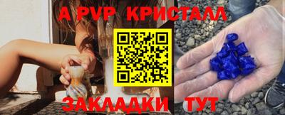 мдпв Кингисепп