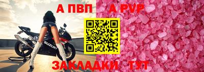 мдпв Кингисепп